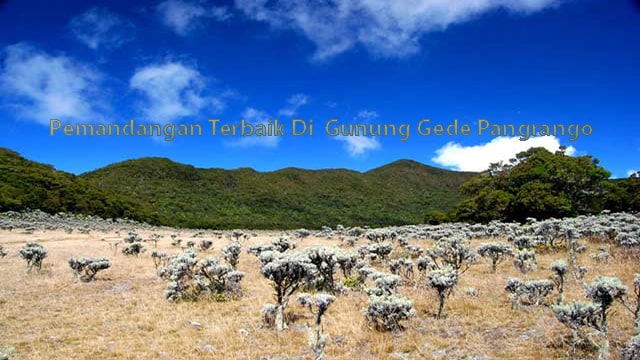 Pemandangan Terbaik Di Gunung Gede Pangrango